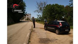Carabinieri di Ischitella arrestano convivente per maltrattamenti a moglie e parenti