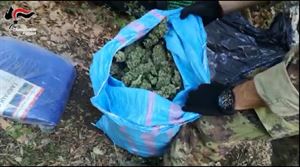 Carabinieri sequestrano 7 kg di marijuana e arrestano un cittadino extracomunitario