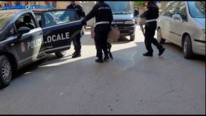 Mercatino abusivo smantellato dalla Polizia Locale di Foggia