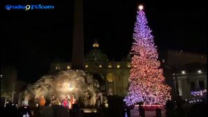 L'albero di piazza San Pietro dono del Comune di Macra